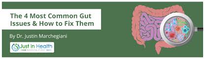 Read more about the article Common Causes of Gut Issues and How to Fix Them